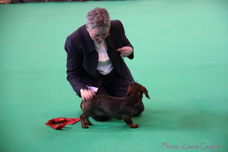 Crufts2011_2 568.jpg